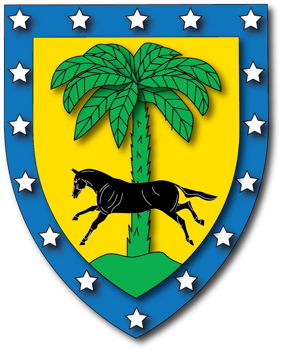 The Tree Of Life - Marine Corps Boot Camp Graduation T (968x1205)