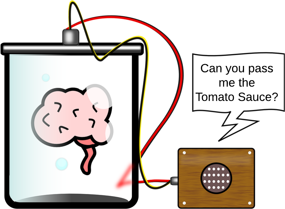 The Science And Technology Session Is An After School - Cerebro Supervivencia (963x704)