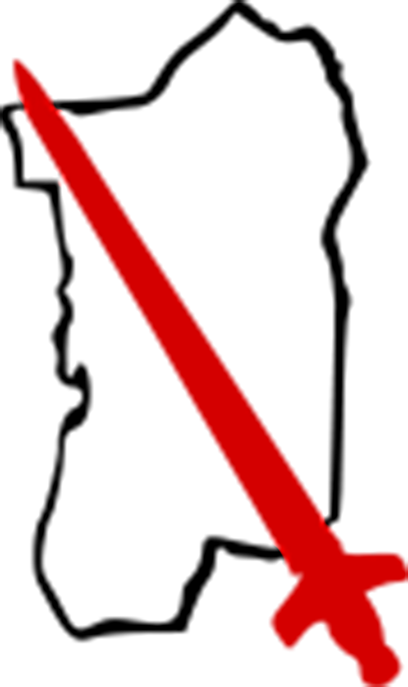 Leichte Afrika Division - 90 Light Africa Division (800x1348)