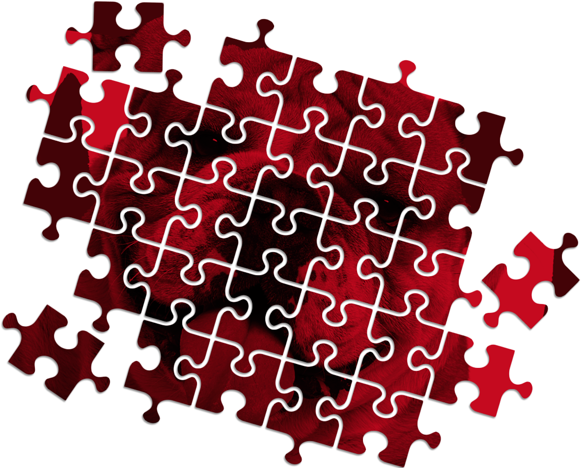 Bulldog Puzzle - Bulldog Puzzle (1300x969)