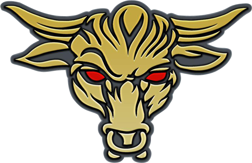 Wwe Images The Rock New Logo 2013 Hd Wallpaper And - Rock Brahma Bull Logo (828x535)
