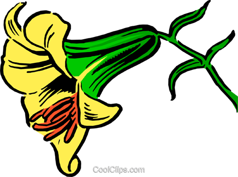 Lily Royalty Free Vector Clip Art Illustration - Lily Royalty Free Vector Clip Art Illustration (480x357)