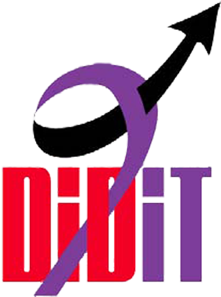 Accomplishments - Didit (325x440)