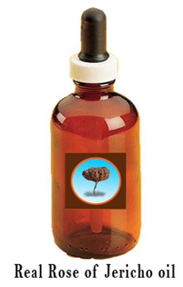 Oil Clipart Baptism Oil - Rose Of Jericho (740x660)