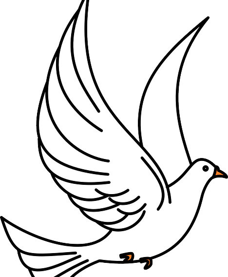 2018 Nobel Peace Prize Awarded To Denis Mukwege And - Flying Bird Clipart Black And White (468x568)