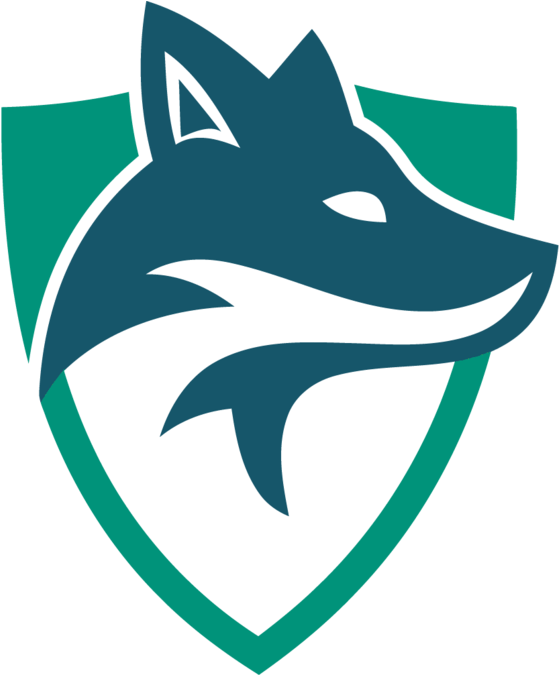 For Contenders Fans, It's Easy To Miss The Person Behind - Seattle Skyfoxes (600x674)