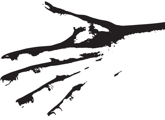 Righthand - Illustration (544x405)