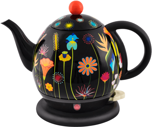 Bouilloire Electrique (535x587)