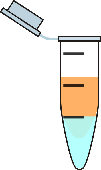Eppendorf Tube Two Phases (354x593)