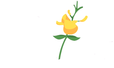 Retama Manor Rehab - Flor De Retama Png (650x293)