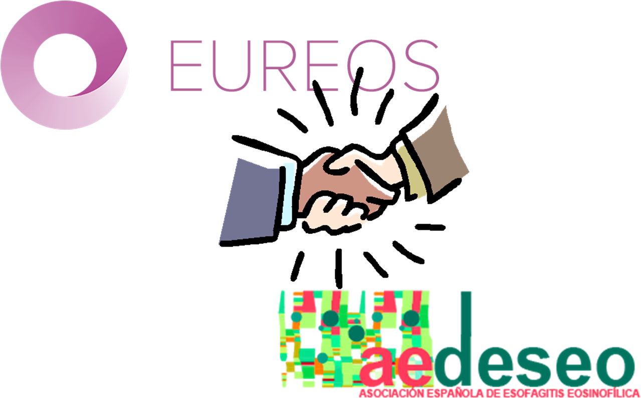 Eureos And Aedeseo Agree To Collaborate To Reach All - Examples Of Chronemics Communication (1344x904)