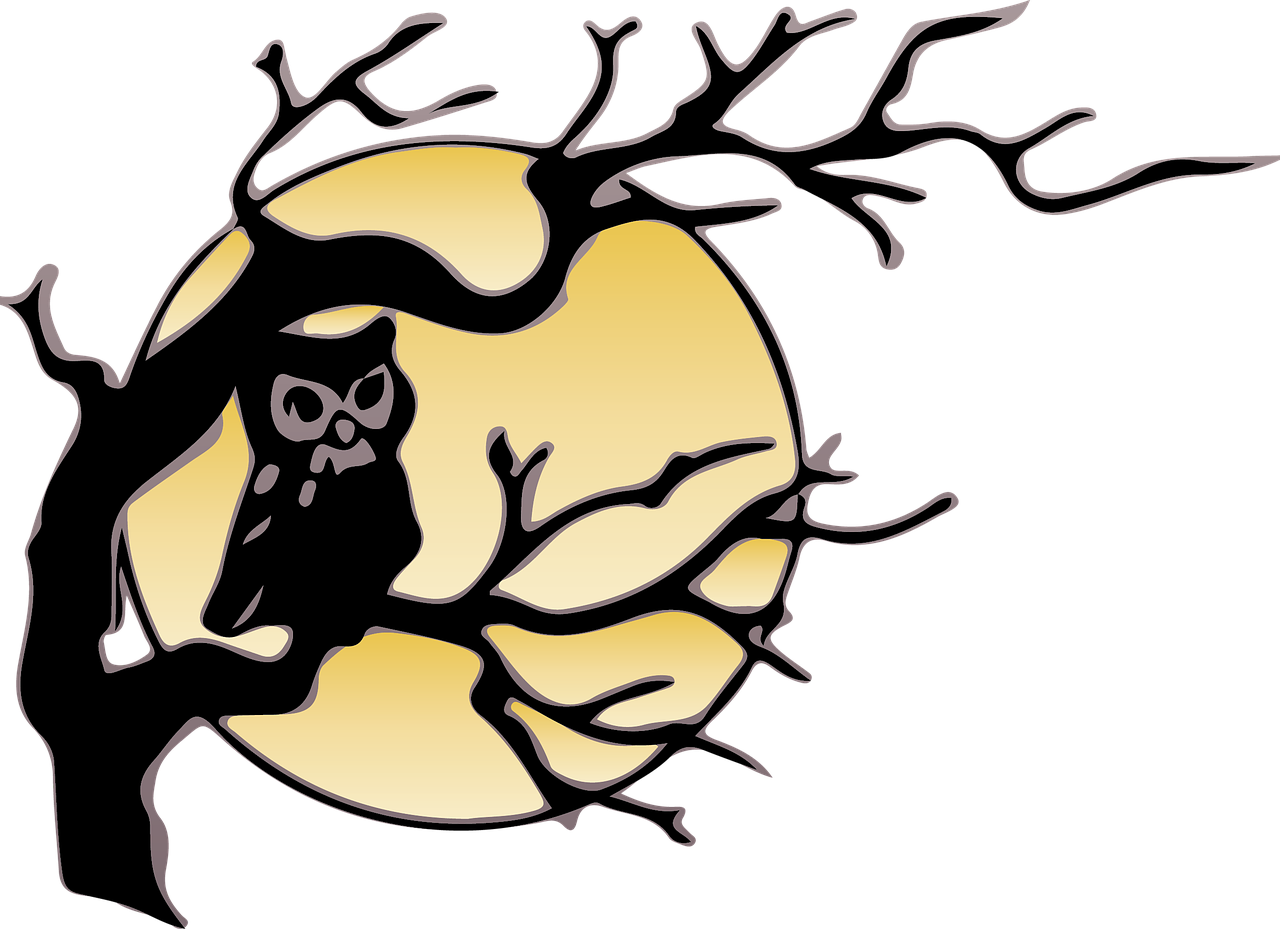 Owl In Tree Drawing (1280x929)