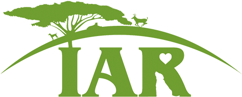 International Animal Relief - Illustration (500x251)