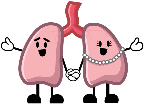 Larry And Lola Lung Illustrations - Cartoon (783x478)