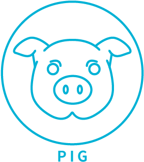 Year Of The Pig - Horizon Observatory (360x360)