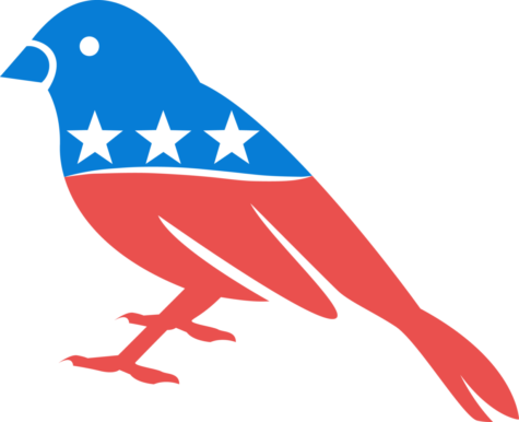 Damian Walsh '18 - Democratic Socialist Party (475x386)