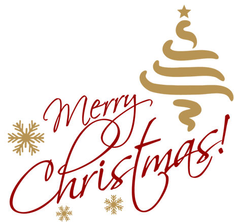 Wo-08 - Merry Christmas Transparent Png (474x450)