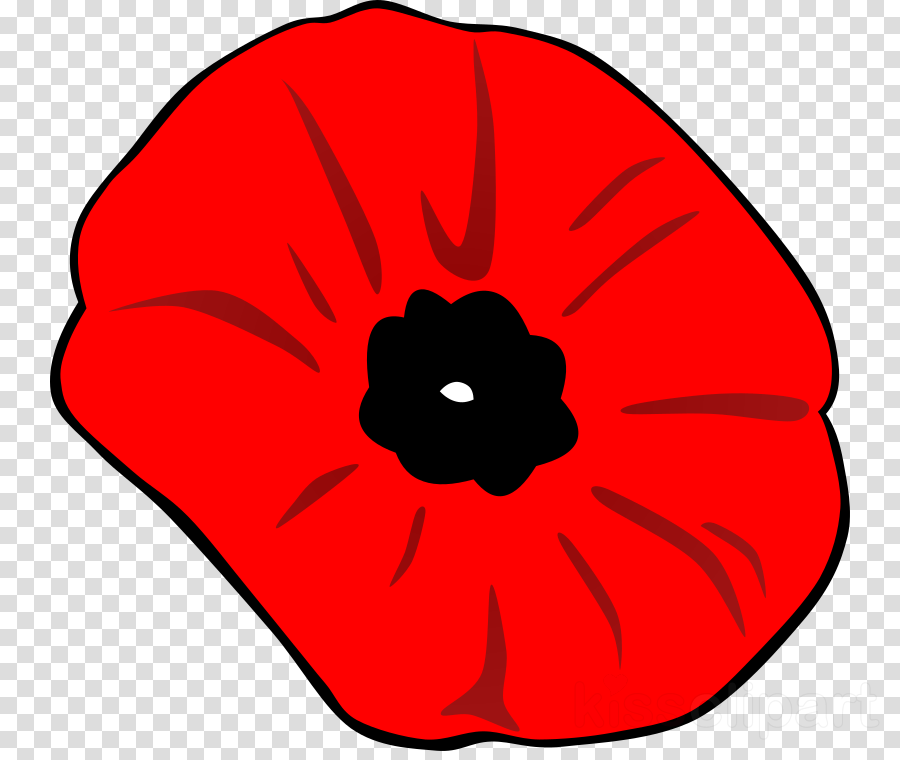 Download Remembrance Day Clip Art Poppy Clipart Remembrance - Remembrance Day Poppy Transparent Background (900x760)