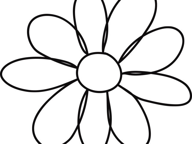 White Flower Clipart Margarita Flower - Flower Petal Png Drawing (640x480)