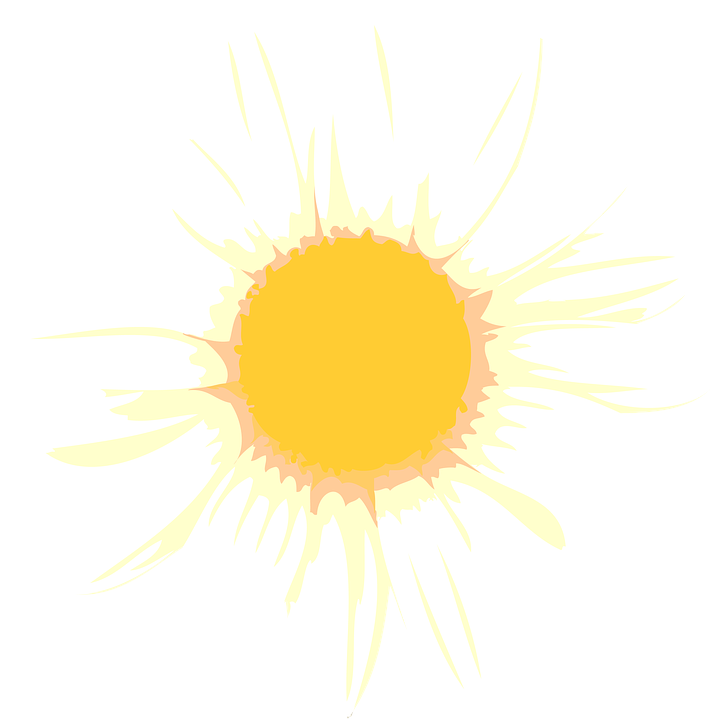 Camomile Clipart Transparent - Chamomile Vector Png (723x720)