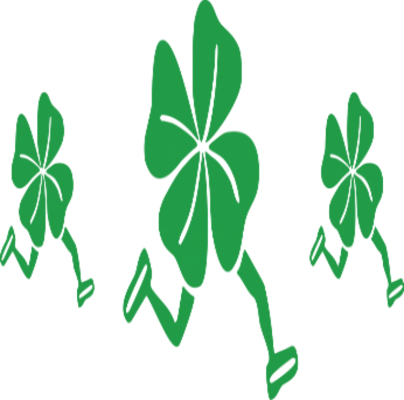 Shamrock Fun 5k Trail Run/walk - Shamrock Race (800x791)