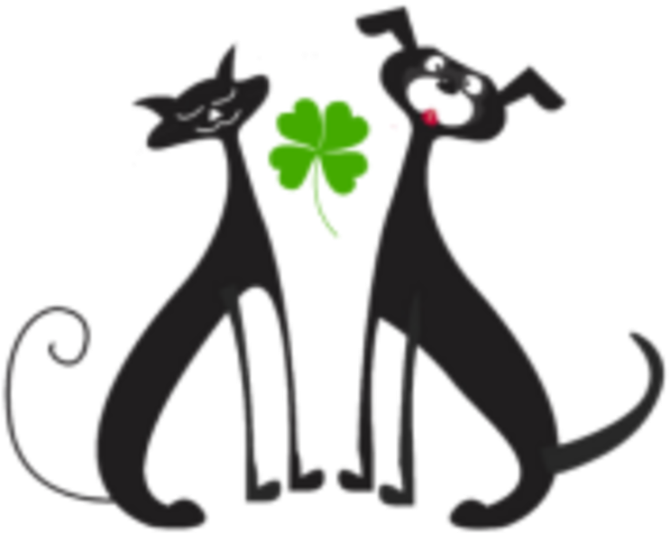 Patrick's Day Trail Run/walk 5k - Patrick's Day Trail Run/walk 5k (800x800)