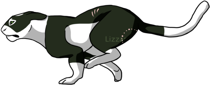 Cat Running Animation Ych Commission 3 By Lizzarddraws - Illustration (1024x578)