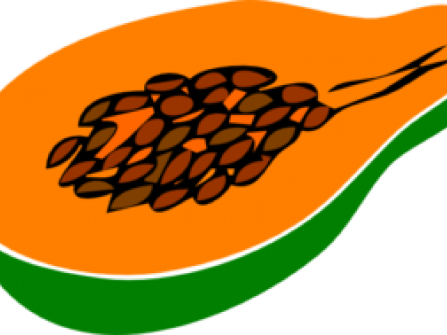 Papaya Clipart Cartoon - Papaya Clip Art (640x480)