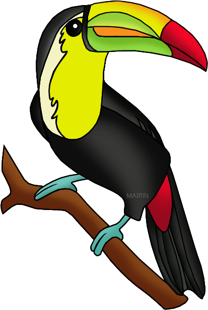 Toucan - Amazon Rainforest Animals Clipart (456x648)