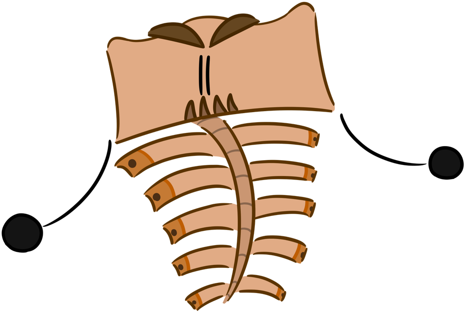 Xylobone - Xylobone (1024x696)