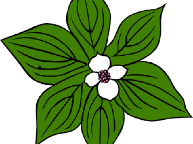 Cartoon Flower And Leaves (640x480)