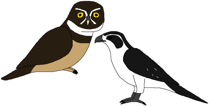 Saddening-bore 7 1 Little Rainforest Raptors By Wildandnaturefan - Penguin (696x350)