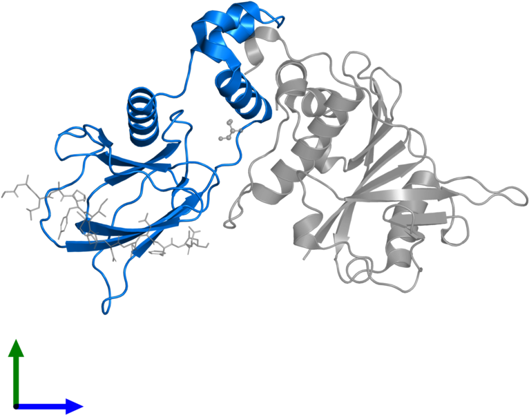 <div Class='caption-body'>pdb Entry 4ajy Contains 1 - Cartoon (800x800)