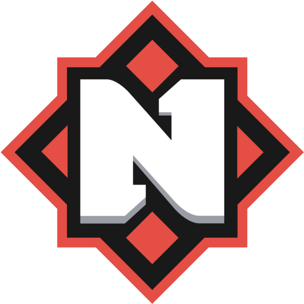 Nemiga Gaming - Nemiga Cs Go (600x600)