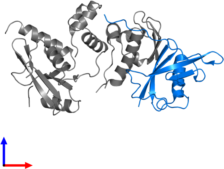 <div Class='caption-body'>pdb Entry 6c5x Contains 1 - Cartoon (800x800)