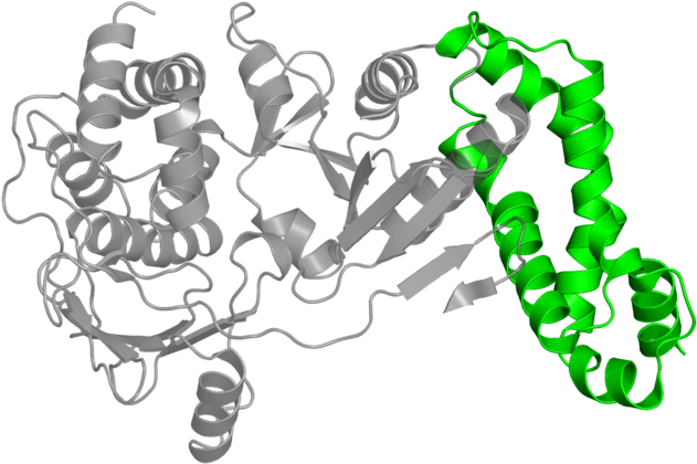 <div Class='caption-body'>1 Copy Of Cath Domain - Cartoon (800x800)