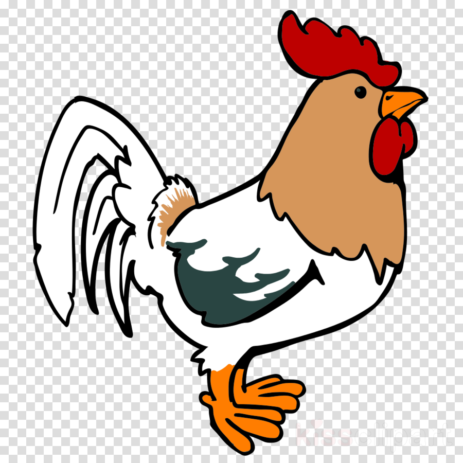 Chicken Cartoon Png Clipart Leghorn Chicken Foghorn - Cartoon Rooster (900x900)