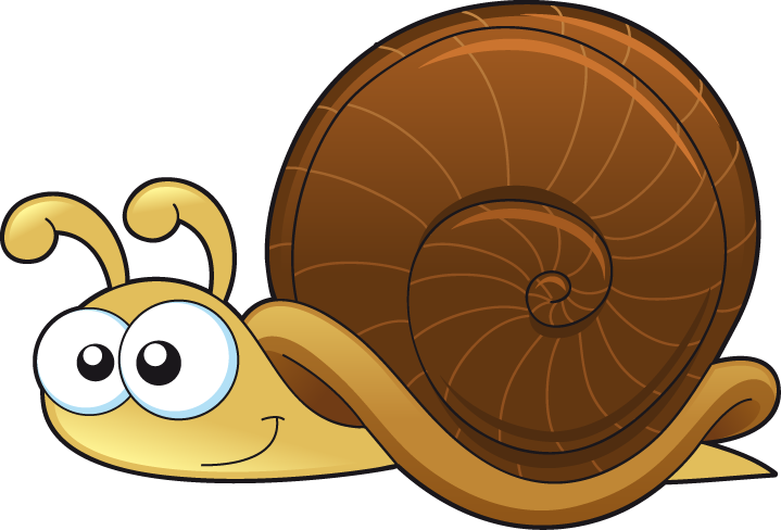 Drawn Snail Invertebrate Animal - Cartoon Animals (719x488)