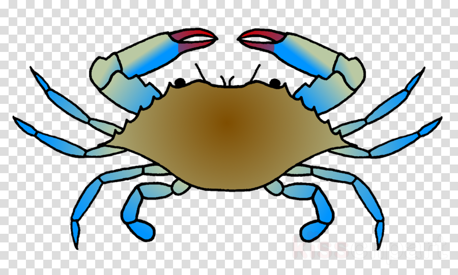 Chesapeake Blue Crab Clipart Dungeness Crab Clip Art - Blue Crab Drawing Easy (900x540)
