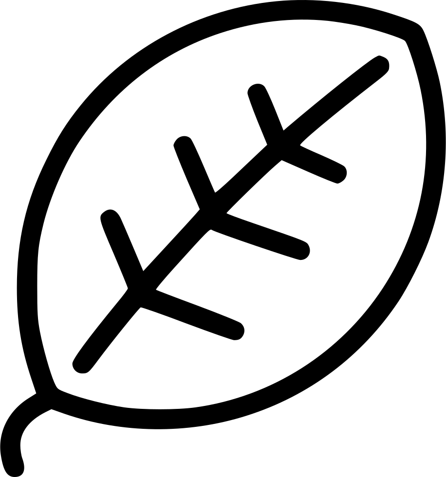 Leaf Plant Herb Condiment Comments - Icon (916x980)