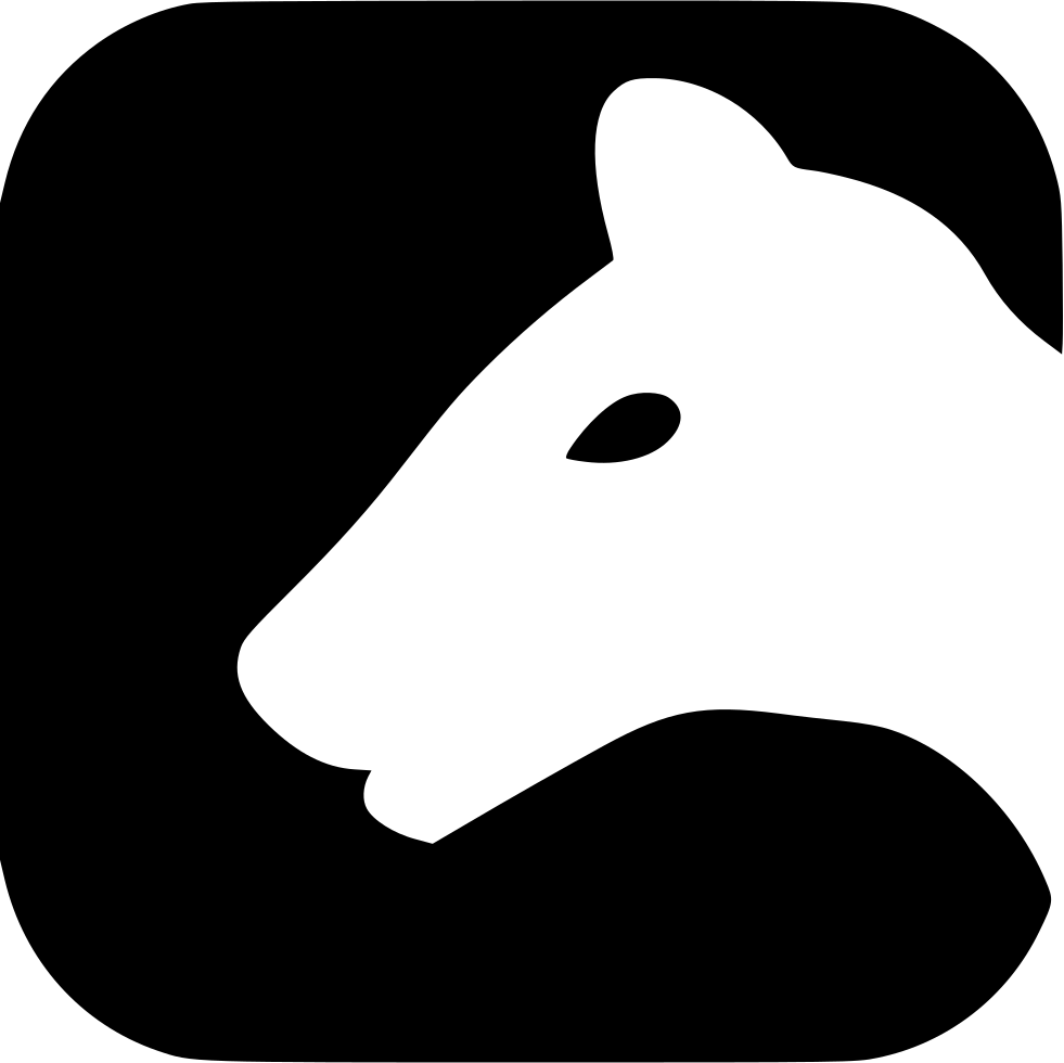 Panther Jaguar Wild Cat Skin Comments - Panther Jaguar Wild Cat Skin Comments (981x980)