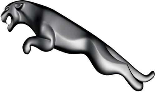 Jaguar - Jaguar (500x500)
