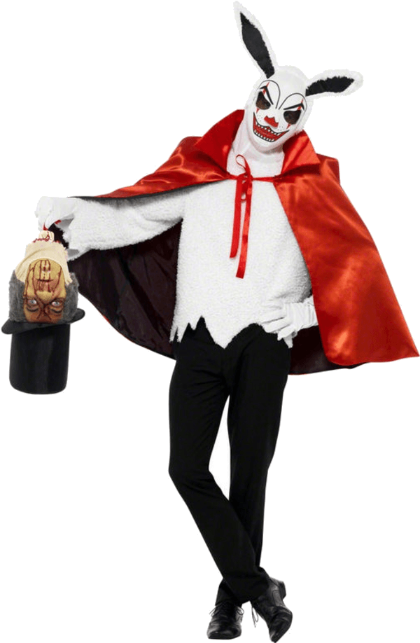 Magician Bunny Halloween Costume (600x951)