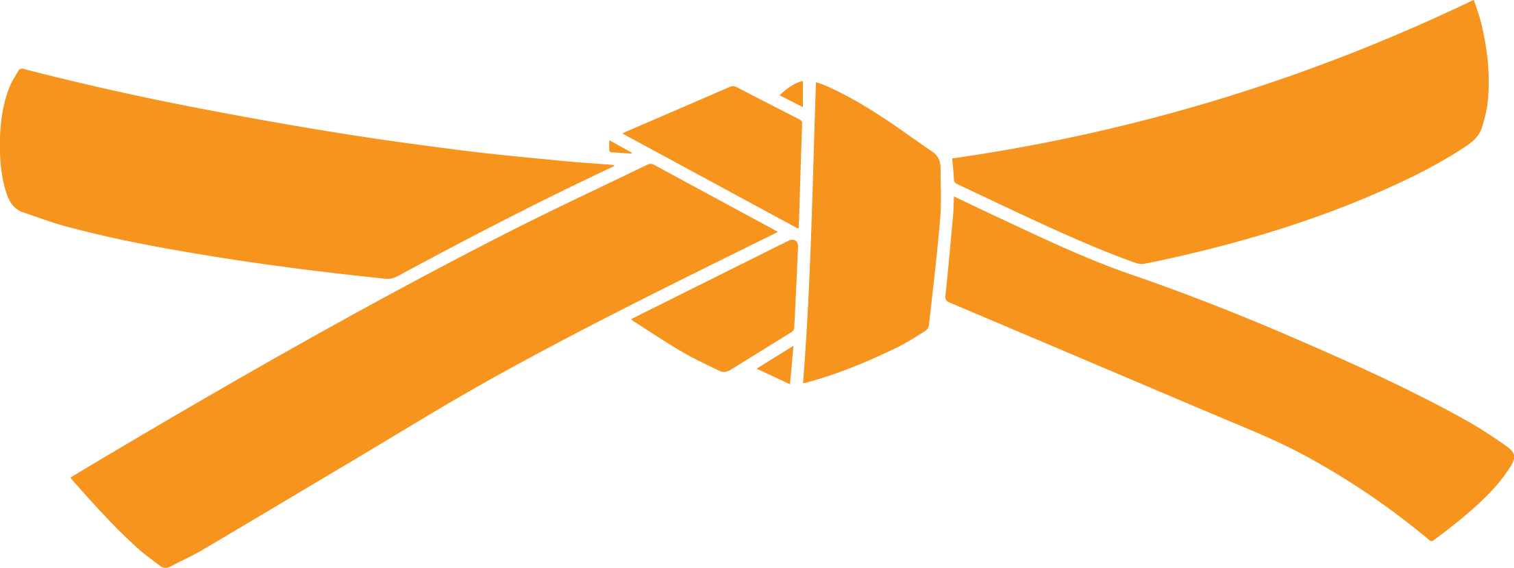 Belt-orange - Taekwondo Black Belt (2210x829)