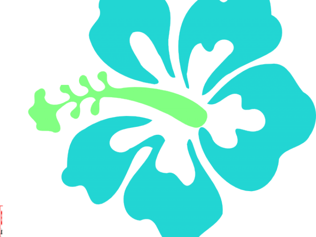 Turquoise Clipart Blue Hawaiian - Hibiscus Clip Art (640x480)