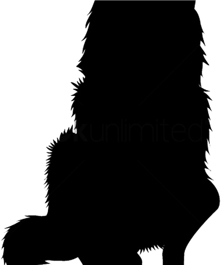 Sitting Dog Silhouette For Free Download On Mbtskoudsalg - Dog Catches Something (1368x855)
