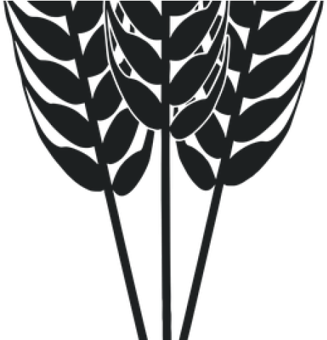 Grain Clipart Harvest - Illustration (640x480)