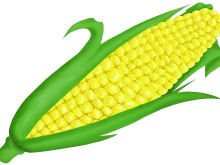 Black And White Library Plant Royalty Free Stock Agriculture - Corn On The Cob Clipart (440x330)