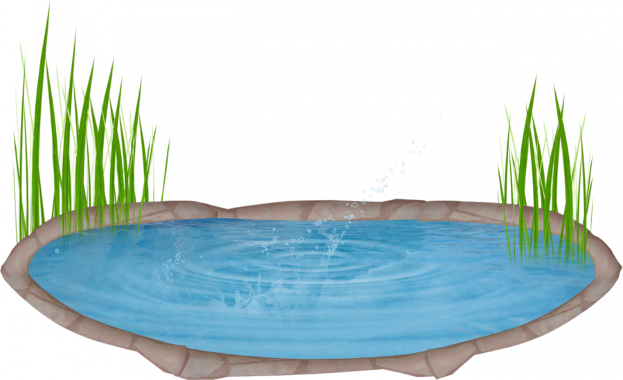 Drawing Of Lake Clipart Drawing Pond Clip Art - Озеро Пнг (900x549)