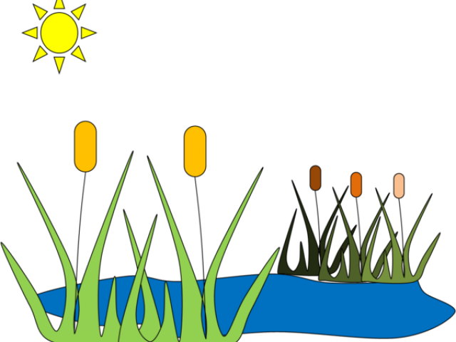 Pond Clipart Frog House - Pond Clip Art (640x480)